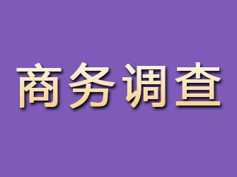 横峰商务调查